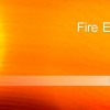 The Fire Element. Five Element Acupuncture for fire elements.