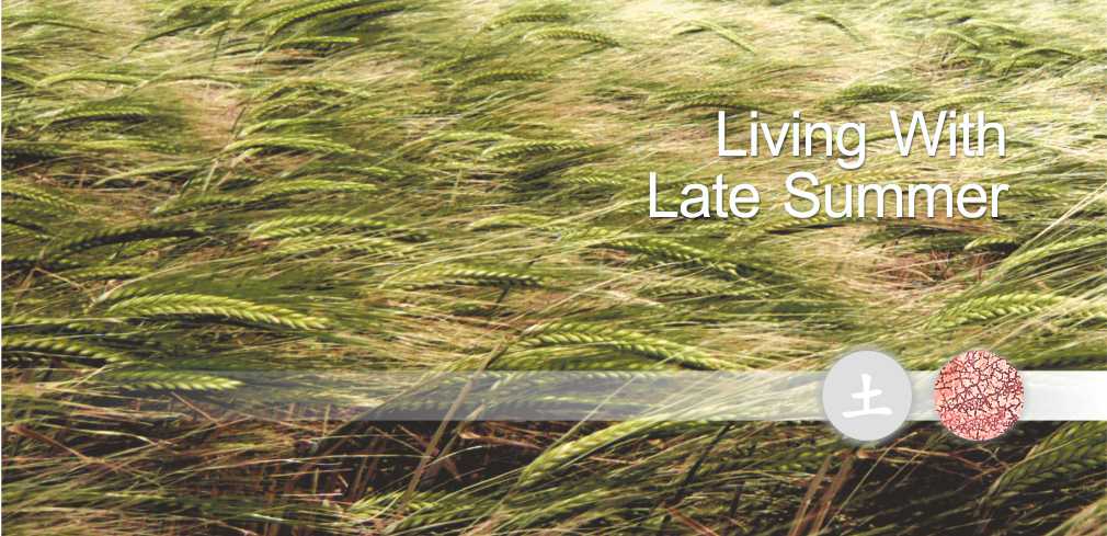 Acupuncture & Late Summer. Acupuncture, the Five Elements & seasons.