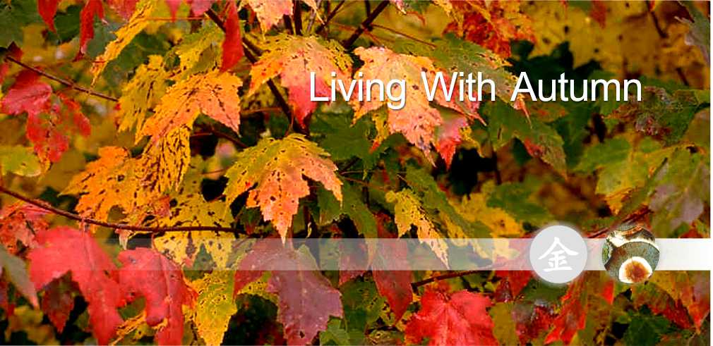 Acupuncture and Autumn. Acupuncture, the Five Elements & Seasons.