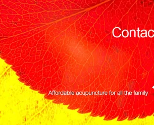 Contact the Torbay Acupuncture Centre Acupuncture clinic address, 105 Fore Street, Torquay, Devon, TQ1 4PZ UK