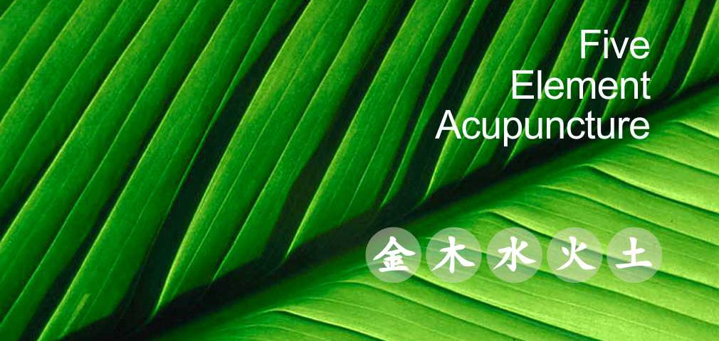 Five Element Acupuncture. The five elements, metal, wood, water, fire and earth.