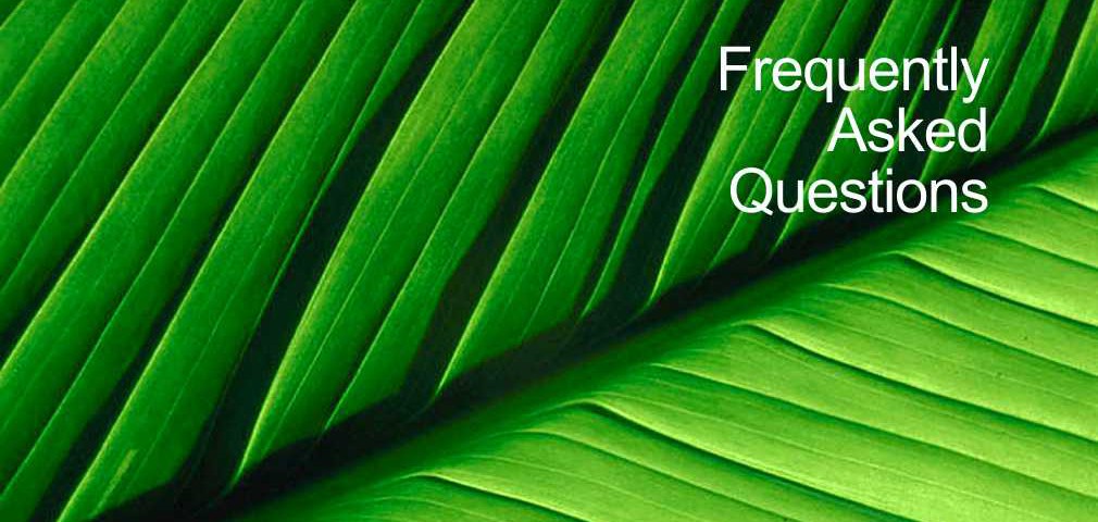 Frequently asked questions & acupuncture. Acupuncture treatments, Torquay, Paignton and Brixham.