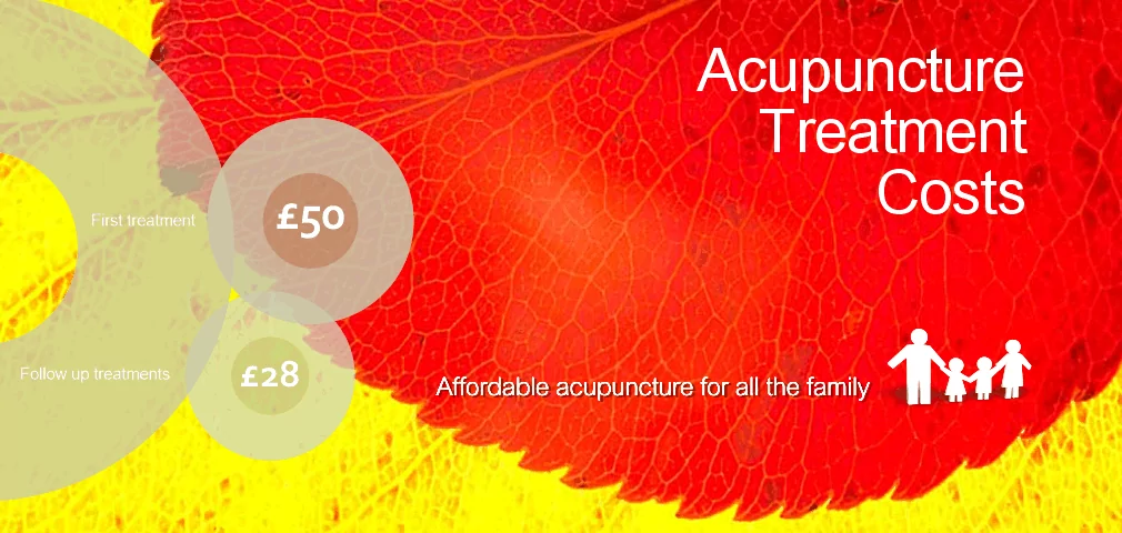 Multi-bed acupuncture clinic. Affordable acupuncture in Torquay, Paignton and Brixham.