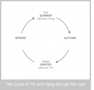 kidneys-the-cycle-of-yin-yang-through-the-year-diagram
