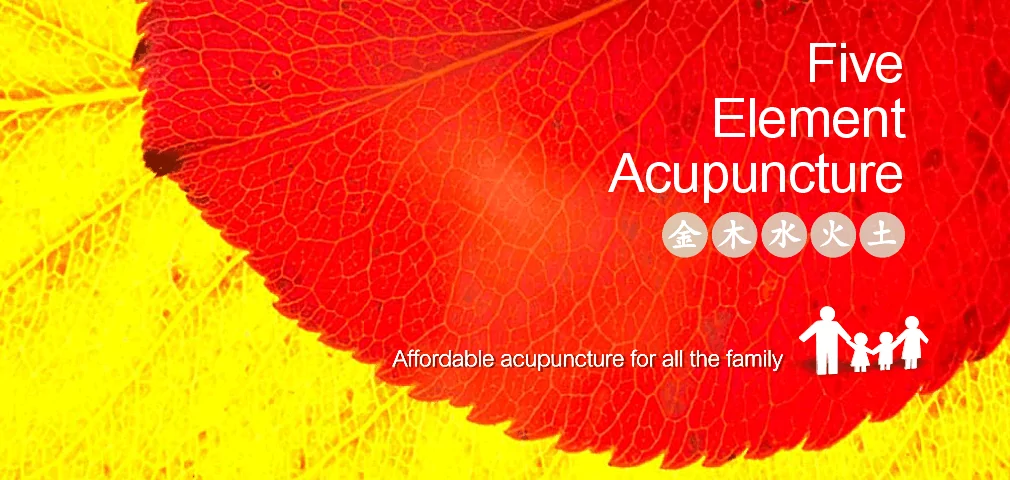 Five Element Acupuncture. The five elements, metal, wood, water, fire and earth.